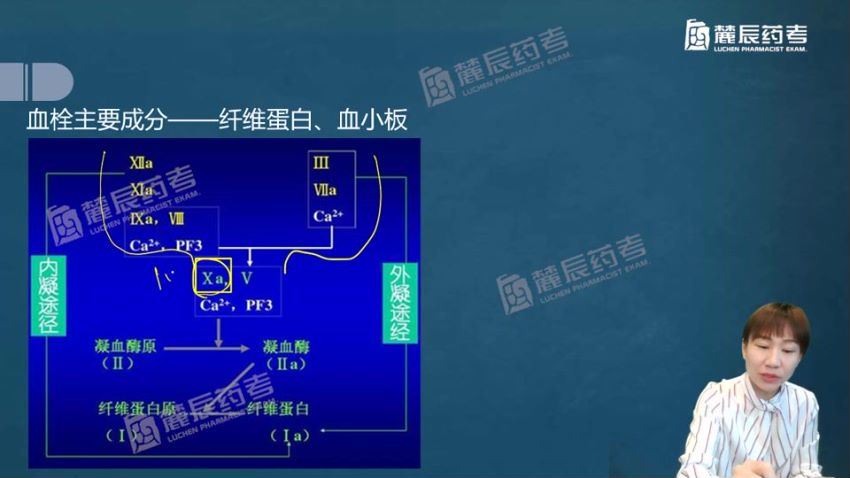 2022医学考试敬之药考（麓辰）：执业西药师 百度网盘(11.87G)