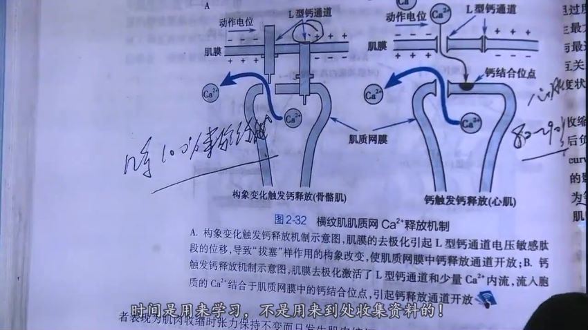 2023考研西医综合：【名师精品】改命-冲刺课程！ 百度网盘(102.88G)